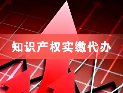 永康知识产权实缴资本代办